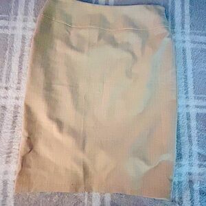 Antonio Melani skirt beige size 0 back slits hidden zipper knee length pinstripe